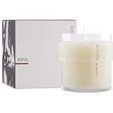 APOTHIA Premium Scented Candle | Naturally Derived Soy Wax Blend | Cruelty-Free Candle | Up to 60 Hour Long Burn Time | 9 oz
