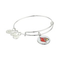 Alex and Ani Color Infusion, University of Louisville Charm Bangle
