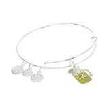 Alex and Ani Color Infusion Life Is Sweet Bracelet