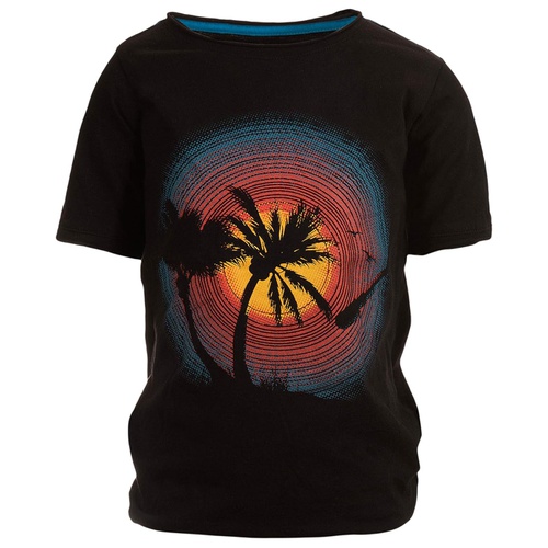 아파만 Appaman Kids Palm Tree, Sounds of Sunset Graphic T-Shirt (Toddleru002FLittle Kidsu002FBig Kids)