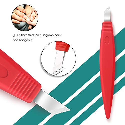  BEZOX Pedicure Knife Set - Callus Shaver Blade, Corn and Hard Thick Skin Remover Tool for Foot, Metal Nail File & Nail Lifter - Professional Pedicure Tools with Storage Box (Red)