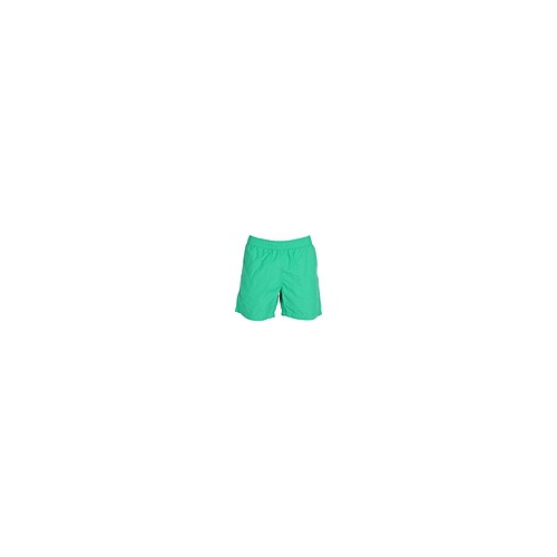 칼하트 CARHARTT Swim shorts