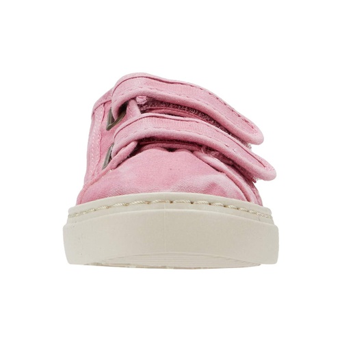 클락스 Cienta Kids Shoes 83777 (Toddler/Little Kid/Big Kid)