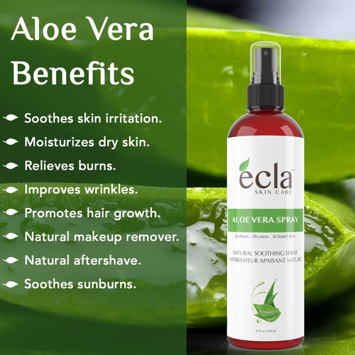  Ecla SKIN CARE Aloe Vera Spray Mist for Face Body and Hair - Made in Canada with Organic Real Juice (Not Powder) 8 Oz - 240ml Natural Formula Toner to Moisturize and Rebalance Skin and Relieve Su