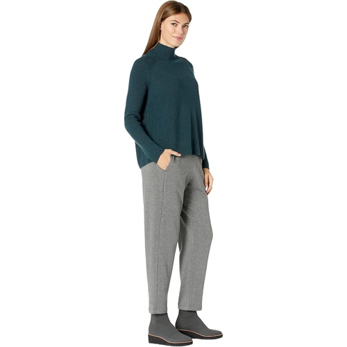  Eileen Fisher Turtleneck Raglan Merino Sweater