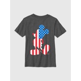 Kids Mickey Mouse American Flag Graphic Tee