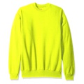 Hanes Mens EcoSmart Sweatshirt