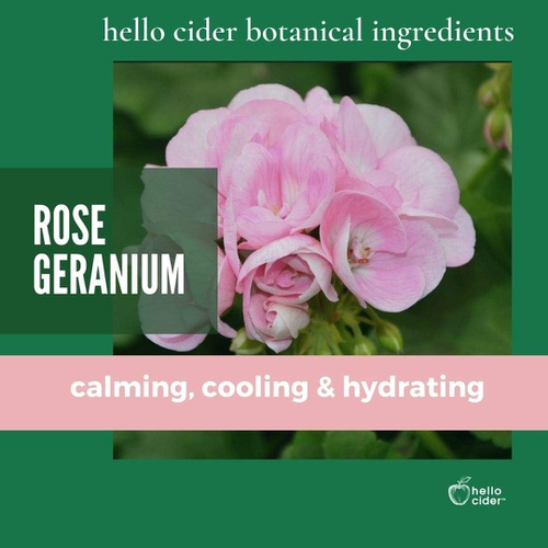  Rose Geranium FACE Toner - Organic Hydrosol, Alcohol & Oil Free. Floral Water to Tone, Restore, Sooth, Balance pH for Dry, Normal, Sensitive Skin. USA Made by Hello Cider