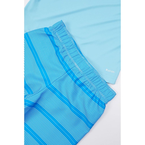 해틀리 Hurley Kids UPF 50+ Long Sleeve T-Shirt & Swim Trunks Two-Piece Set (Little Kids)