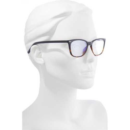 케이트스페이드 kate spade new york tinlee 52mm reading glasses_BLACK HAVANA/ CLEAR - BLUE