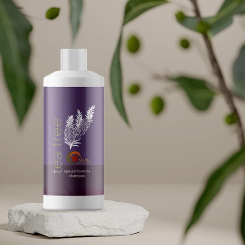  Maple Holistics Pure Tea Tree Oil Shampoo - Tea Tree Shampoo for Oily Scalp and Natural Clarifying shampoo for Oily Hair Care - Deep Cleansing Shampoo for Greasy Hair and Flaky Scalp Cleanser for