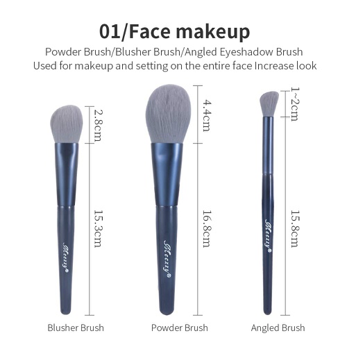 N/R Professional Makeup Brushes Set 9Pcs for Eyeshadow, Foundation, Blush and Concealer,travel size makeup brushes touch up your face on-the-go