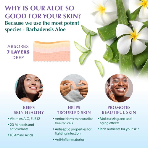  Nature's Premium Skin Care Natural and Organic Face Moisturizer Cream - 100% Organic Aloe Vera - Face Cream for Women - Aloe Vera Cream for Sensitive and Dry Skin - Anti Aging Face Moisturizer for Women and