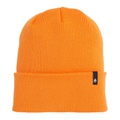 Nixon District Beanie