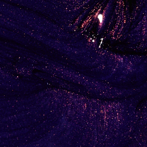  OPI Nail Polish, Infinite Shine Long-Wear Lacquer, Purples, 0.5 fl oz