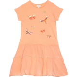 PEEK Lace & Embroidered Dress (Toddleru002FLittle Kidsu002FBig Kids)