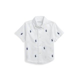 Baby Boys Pony Oxford Short-Sleeve Shirt