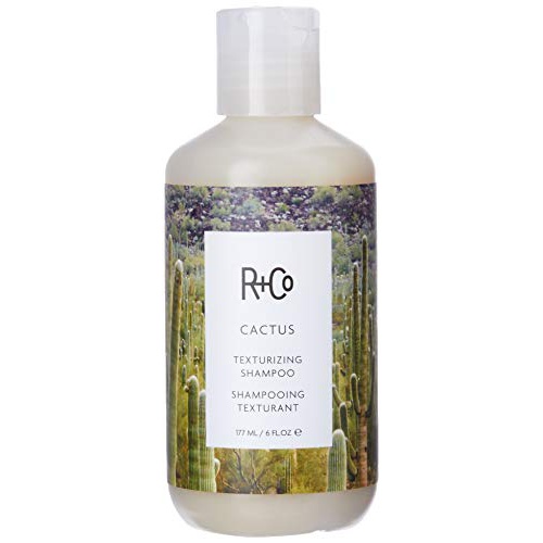  R+Co Cactus Texturizing Shampoo with Natural Texture and Wave Enhancer, 6 Fl Oz