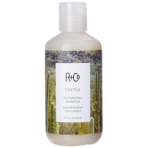  R+Co Cactus Texturizing Shampoo with Natural Texture and Wave Enhancer, 6 Fl Oz