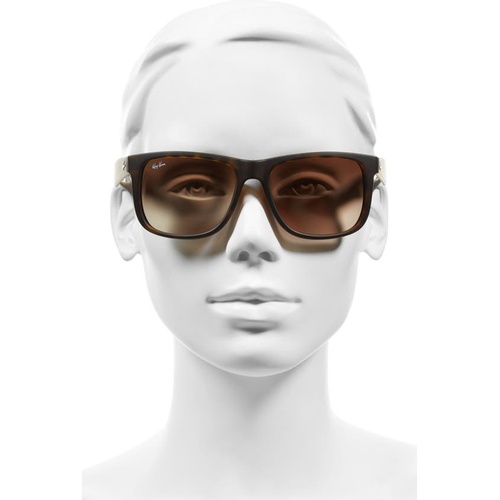 레이벤 Ray-Ban Youngster 54mm Sunglasses_TORTOISE