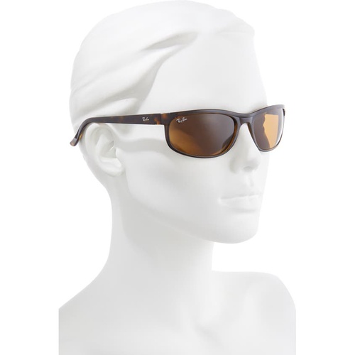 레이벤 Ray-Ban 62mm Oversize Rectangle Wrap Sunglasses_SHINY DARK HAVANA/ BROWN