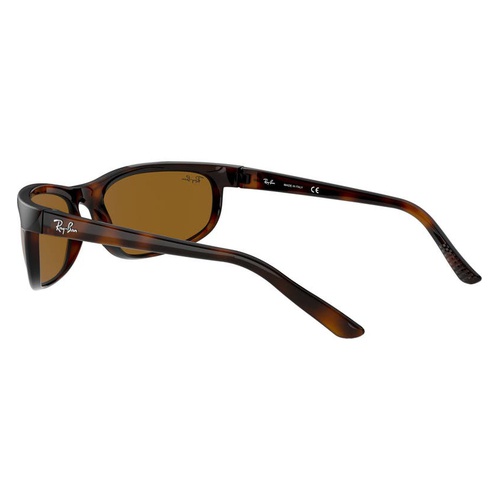 레이벤 Ray-Ban 62mm Oversize Rectangle Wrap Sunglasses_SHINY DARK HAVANA/ BROWN