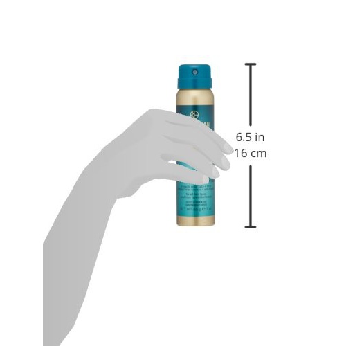  Rita Hazan Lock Plus Block Protective Spray, Blocks Humidity and UV Rays, 3 oz
