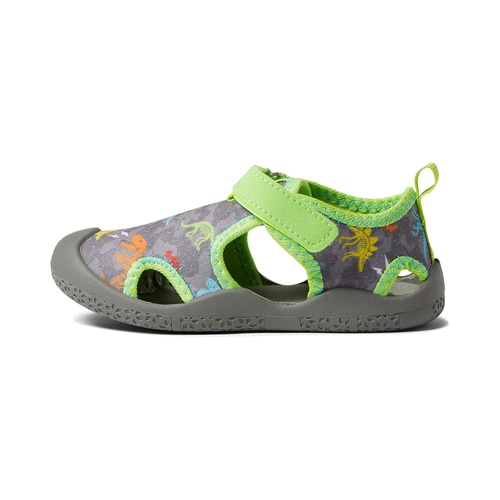  Robeez Dinosaurs Water Shoes (Toddler)