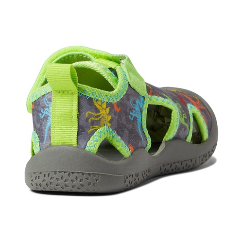  Robeez Dinosaurs Water Shoes (Toddler)
