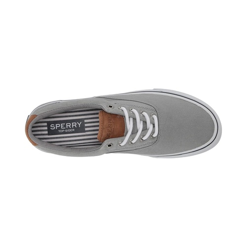 스페리 Sperry Striper II CVO Canvas