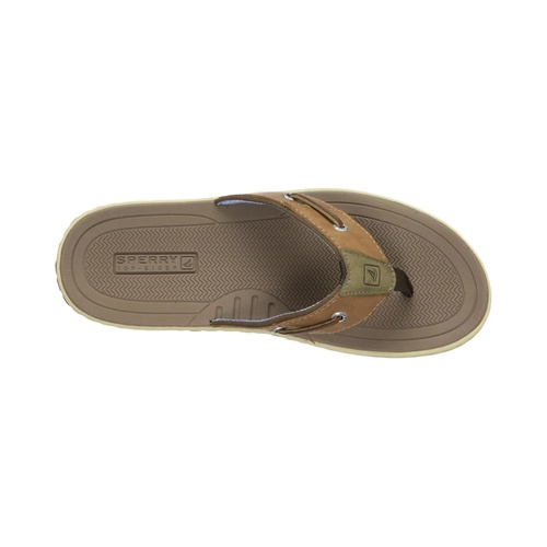 스페리 Sperry Baitfish Thong