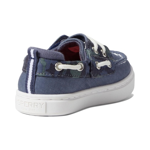 스페리탑사이더 Sperry Kids Sea Ketch Washable (Toddleru002FLittle Kid)