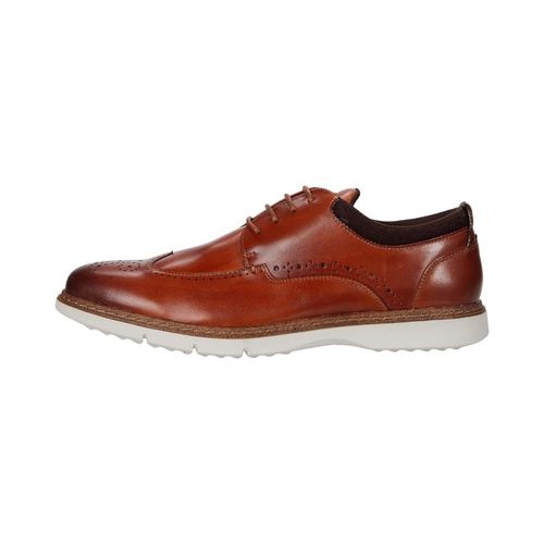  Stacy Adams Synergy Wing Tip Oxford
