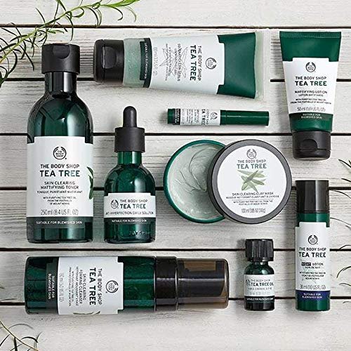  The Body Shop 1052108 Tea Tree Skin Clearing Facial Wash, 8.4 Fl Oz (Vegan)