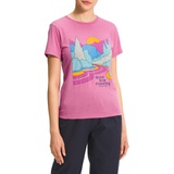 The North Face Adventure Graphic Tee_SUNSET MAUVE