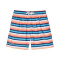 Toobydoo Confetti Stripes Classic Swim Shorts (Toddleru002FLittle Kidsu002FBig Kids)