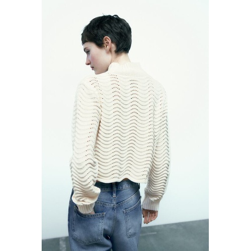 자라 Zara CHENILLE SWEATER