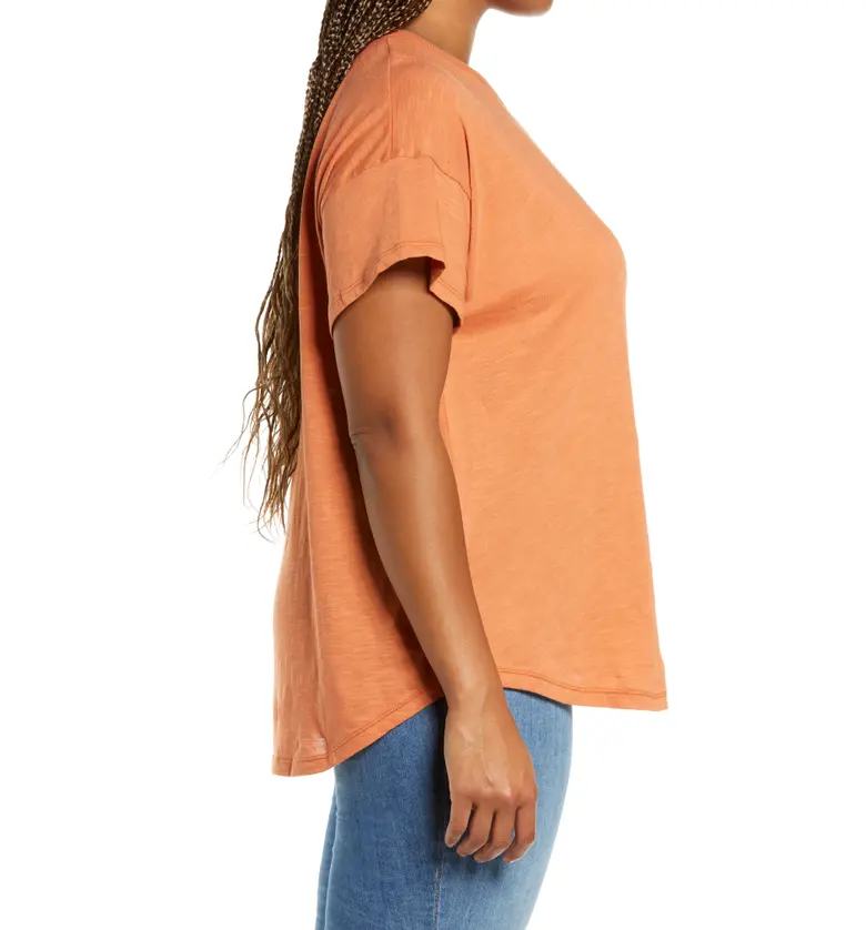 메이드웰 Madewell Sorrel Whisper Ringer T-Shirt_RUSTED TIN