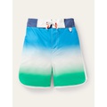 Boden Surf Shorts - Multi Ombre Stripe