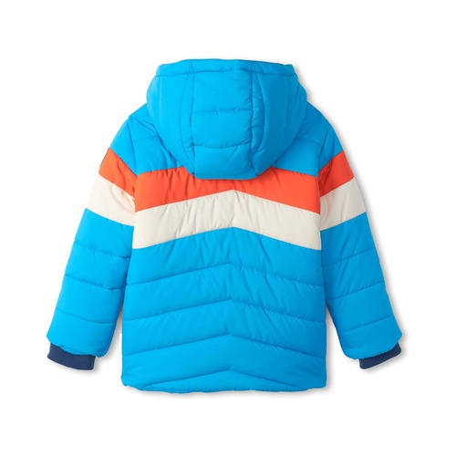 해틀리 Hatley Kids Retro Winter Puffer Jacket (Toddleru002FLittle Kidsu002FBig Kids)