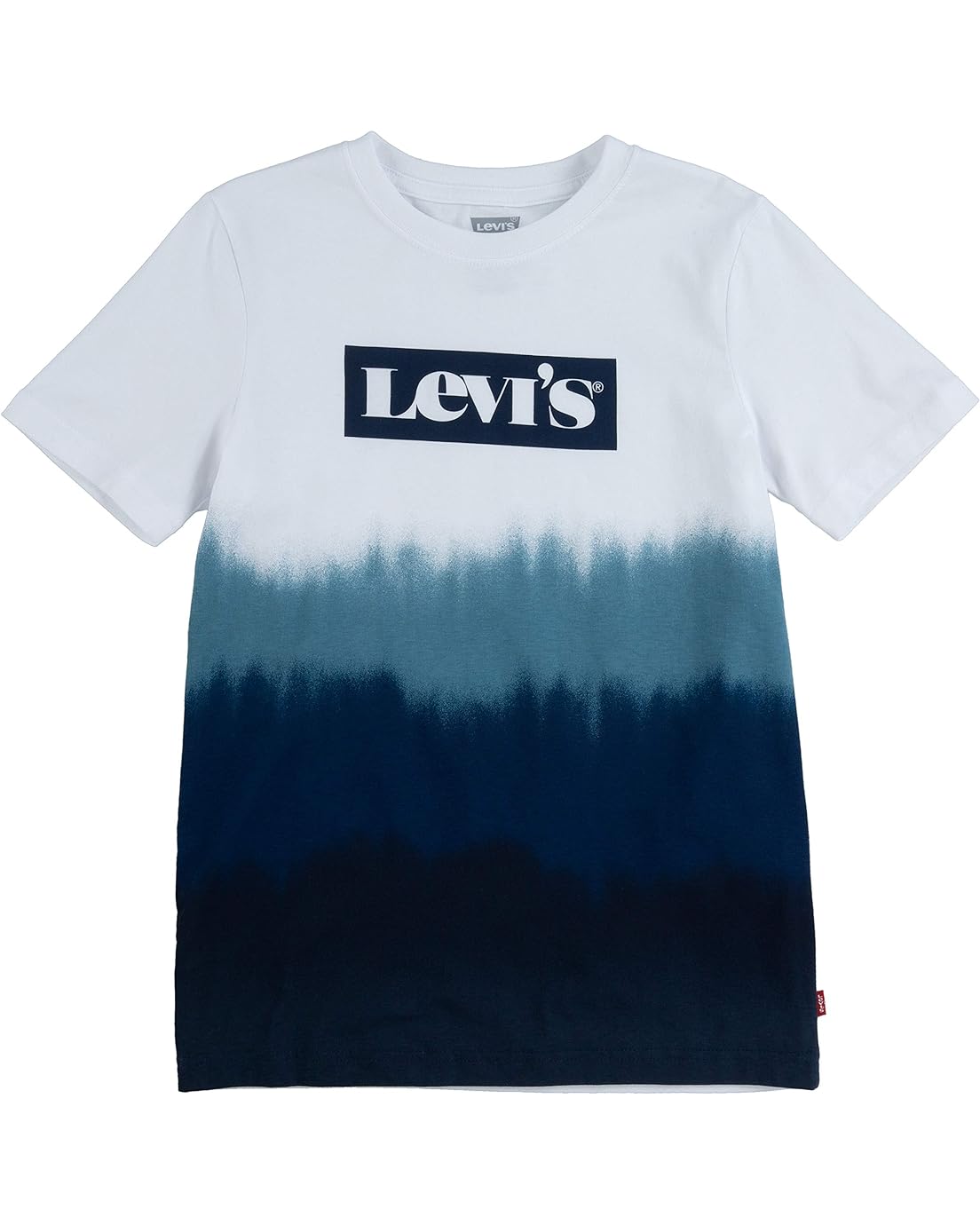 Levis Kids Graphic T-Shirt (Big Kids)