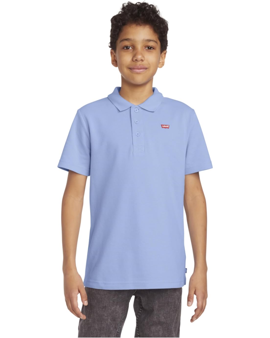 Levis Kids Short Sleeve Polo Shirt (Big Kids)