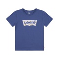 Levis Kids Daisy Batwing T-Shirt (Big Kid)