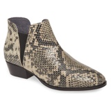 Seychelles Waiting for You Bootie_BLACK/ WHITE SNAKE PRINT