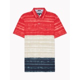 TOMMY ADAPTIVE Regular Fit Colorblock Polo