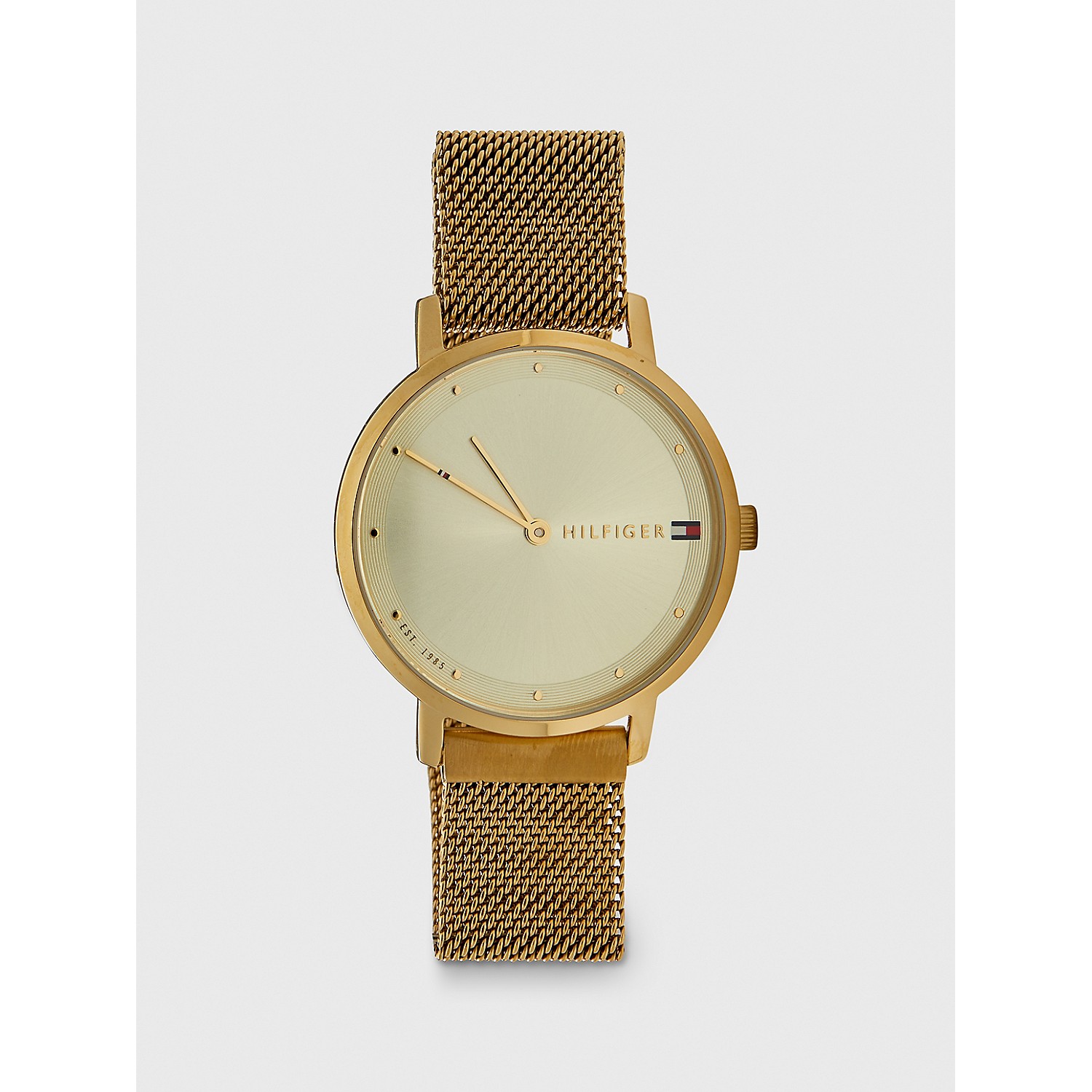 TOMMY ADAPTIVE Gold Watch with Magnetic Strap