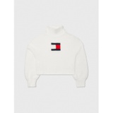 TOMMY ADAPTIVE Cropped Furry Flag Sweater