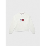 TOMMY ADAPTIVE Port Access Flag Sweater