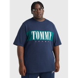 TOMMY JEANS Big And Tall Colorblock Logo T-Shirt