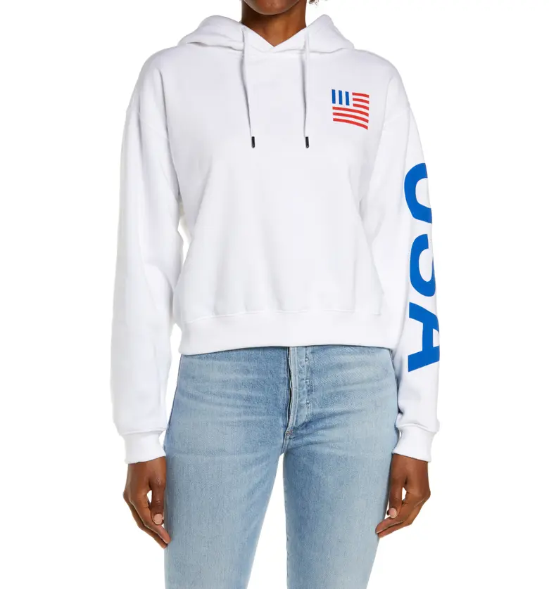 The North Face IC Logo Graphic Hoodie_TNF WHITE